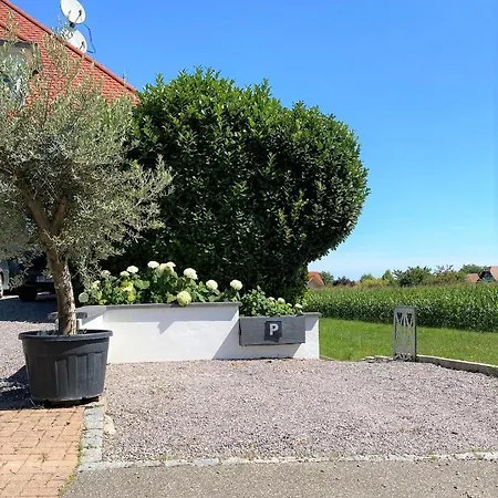 Apartment -villa Royal Helene