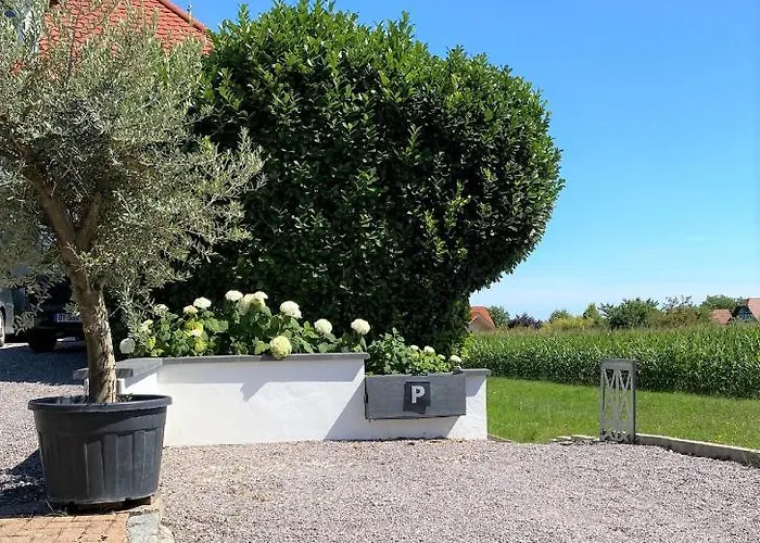 Lejlighed -villa Royal Helene